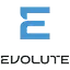 EVOLUTE в кредит