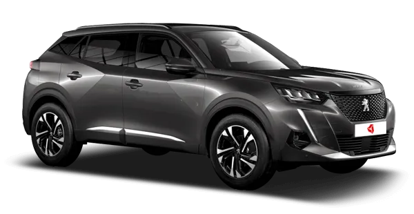  Peugeot
                                    2008