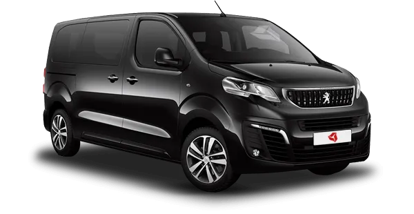  Peugeot
                                    Traveller