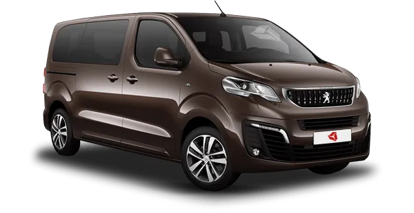  Peugeot
                                    Traveller