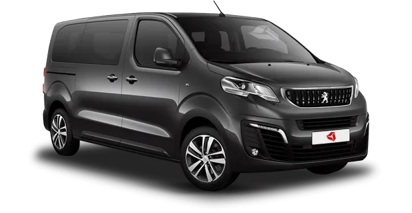  Peugeot
                                    Traveller