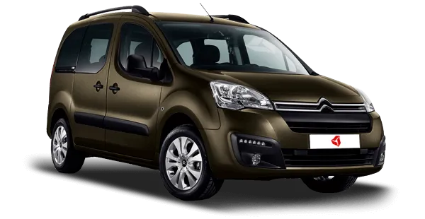  Citroen
                                    Berlingo Multispace