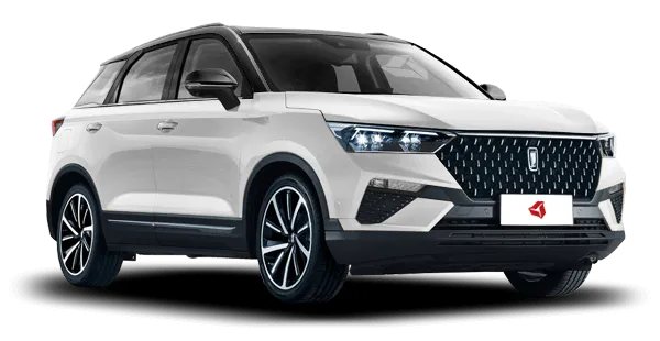  Bestune
                                    T77