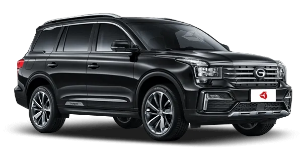  GAC
                                    GS8