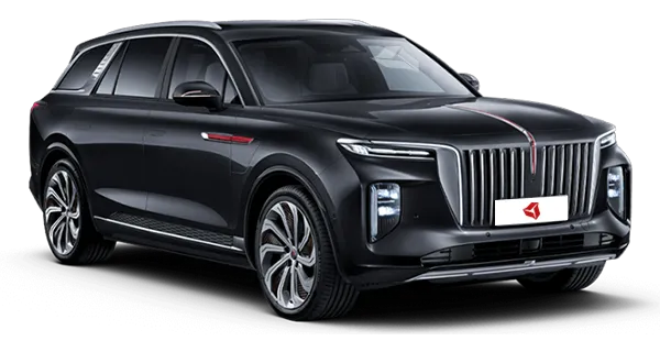  Hongqi
                                    E-HS9