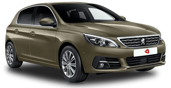  Peugeot
                                    308