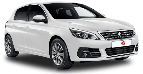 Peugeot
                                    308