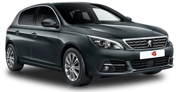  Peugeot
                                    308