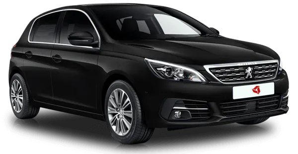  Peugeot
                                    308