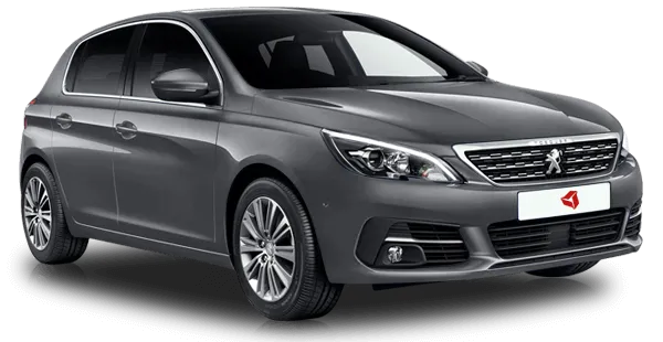  Peugeot
                                    308