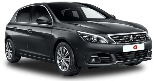  Peugeot
                                    308