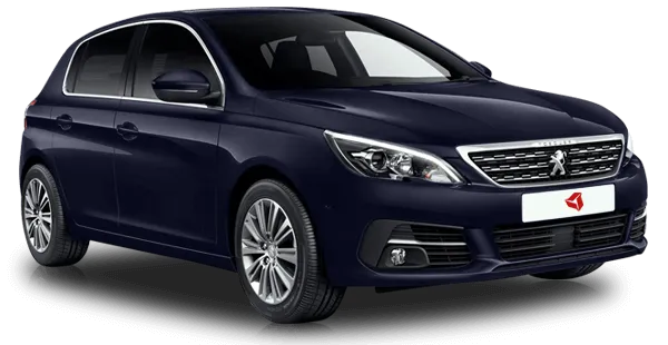  Peugeot
                                    308