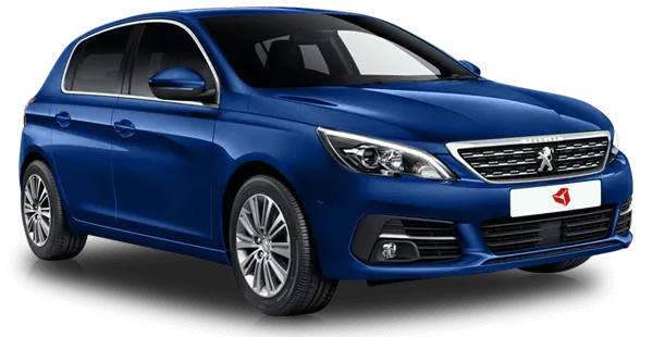 Peugeot
                                    308