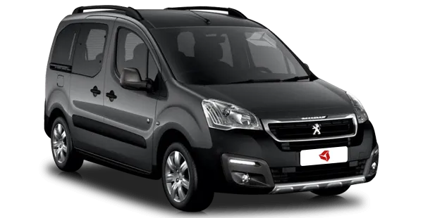  Peugeot
                                    Partner Tepee Combi