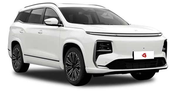  Jetour
                                    Shanhai L9