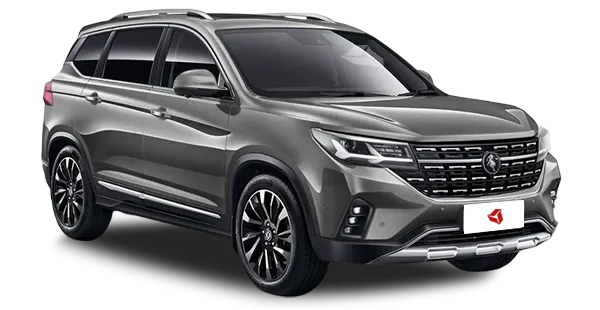  Forthing
                                    T5