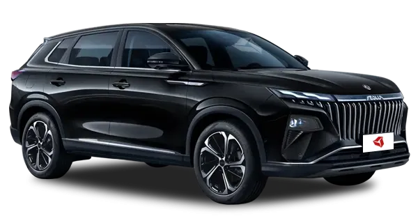  Dongfeng
                                    HUGE