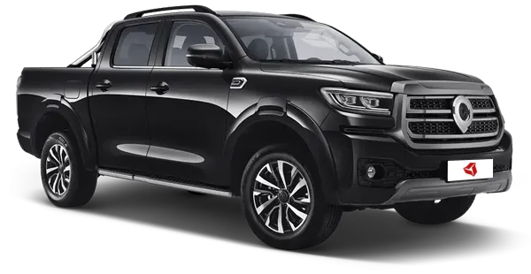  Great Wall
                                    Poer