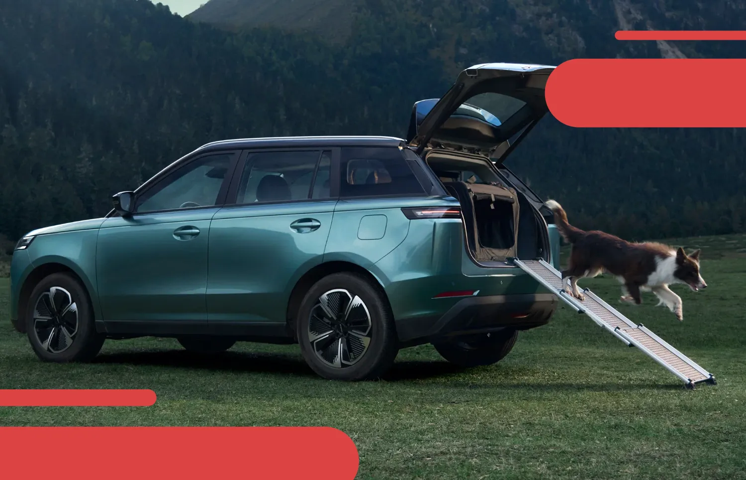 Аксессуар трап для животных